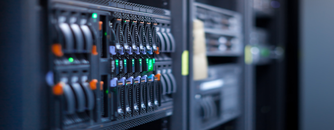 Live to serve... Serving